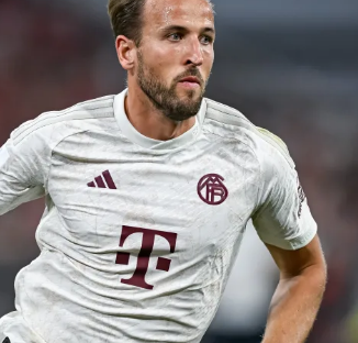 支球队的综 支球队的综